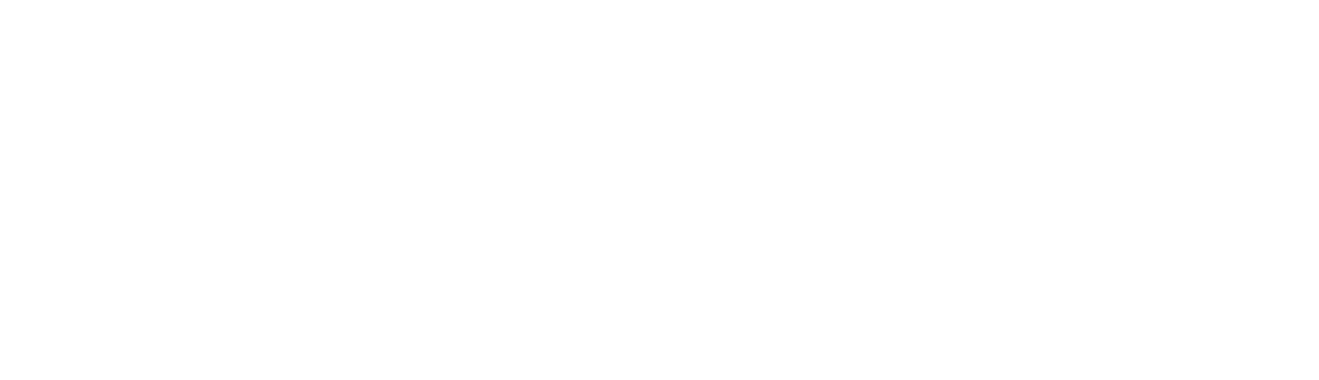 Sport Michetschlaeger Logo