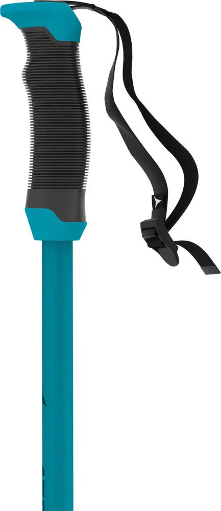 Atomic Redster X SQS Unisex Skistöcke Ski Poles teal tension