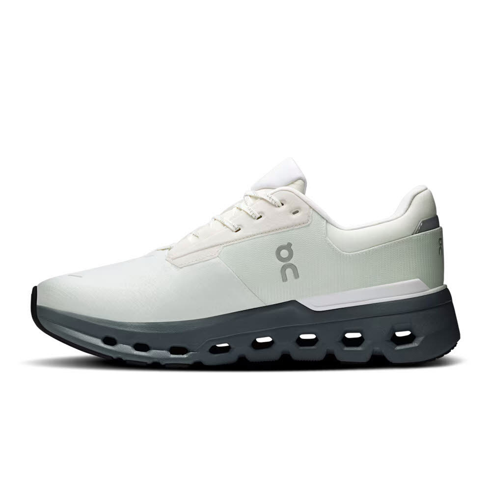 ON CLOUDRUNNER 2 WATERPROOF Herren Laufschuhe Joggingschuhe iceberg/rock