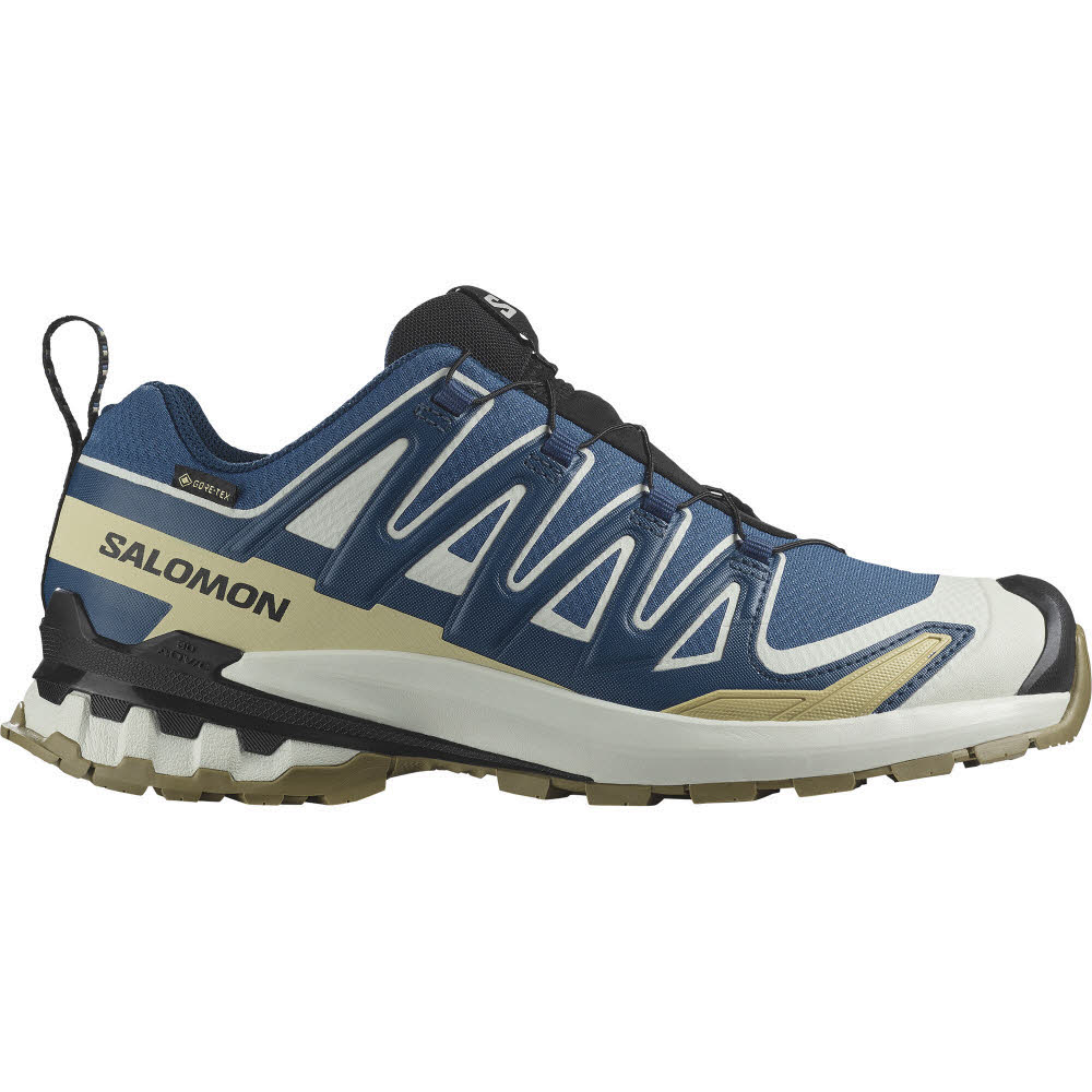 Salomon XA PRO 3D V9 GTX Herren Trailrunningschuhe Laufschuhe dark blue