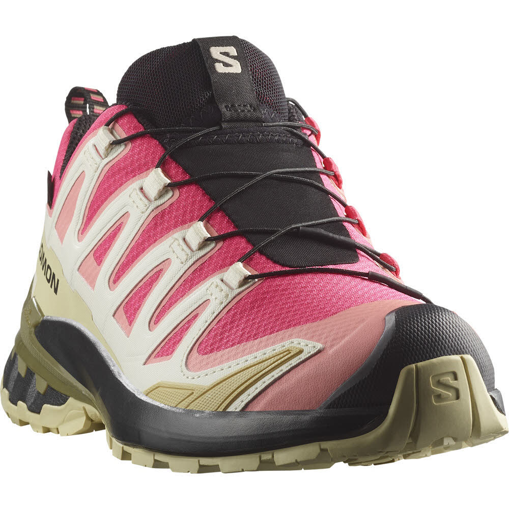 Salomon XA PRO 3D V9 GTX W Damen Trailrunning Laufschuhe rouge red/vanilla ice