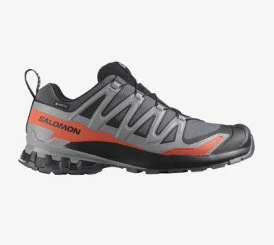 Salomon XA PRO 3D V9 GTX Trailrunning-Schuh Laufschuh Herren grau