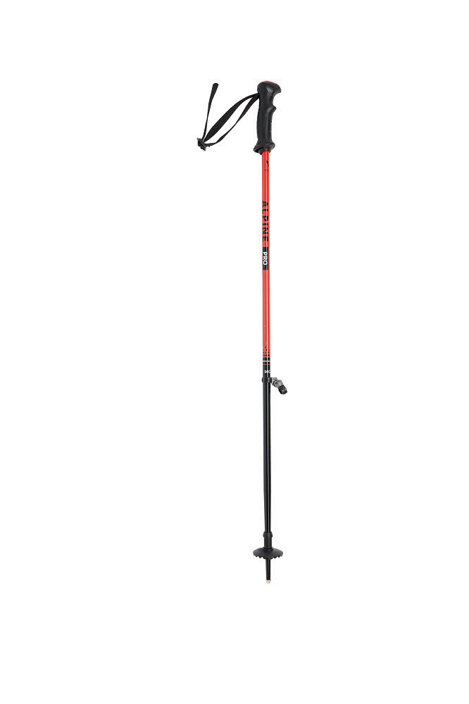 Witeblaze ALPINE PRO JR Kinder Skistöcke Ski Poles schwarz/rot