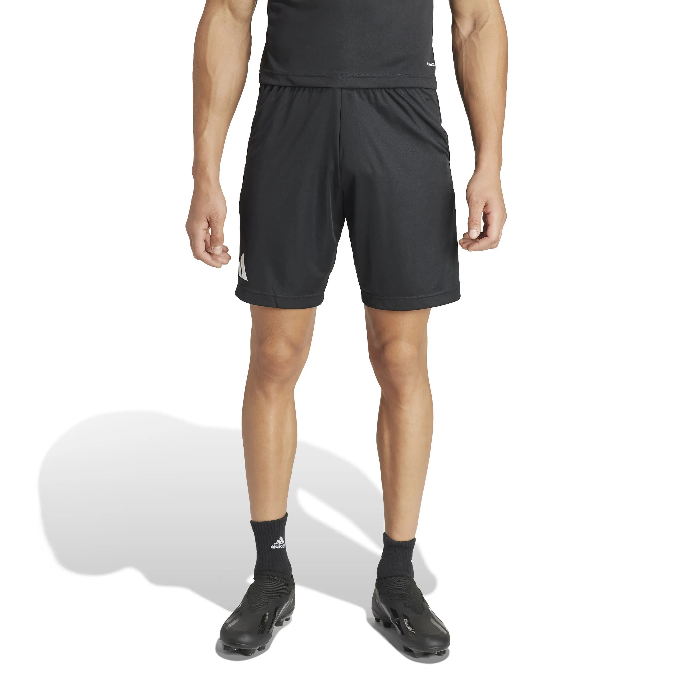 adidas REF 24 Shorts Schiedsrichter-Hose Sportshorts Herren schwarz