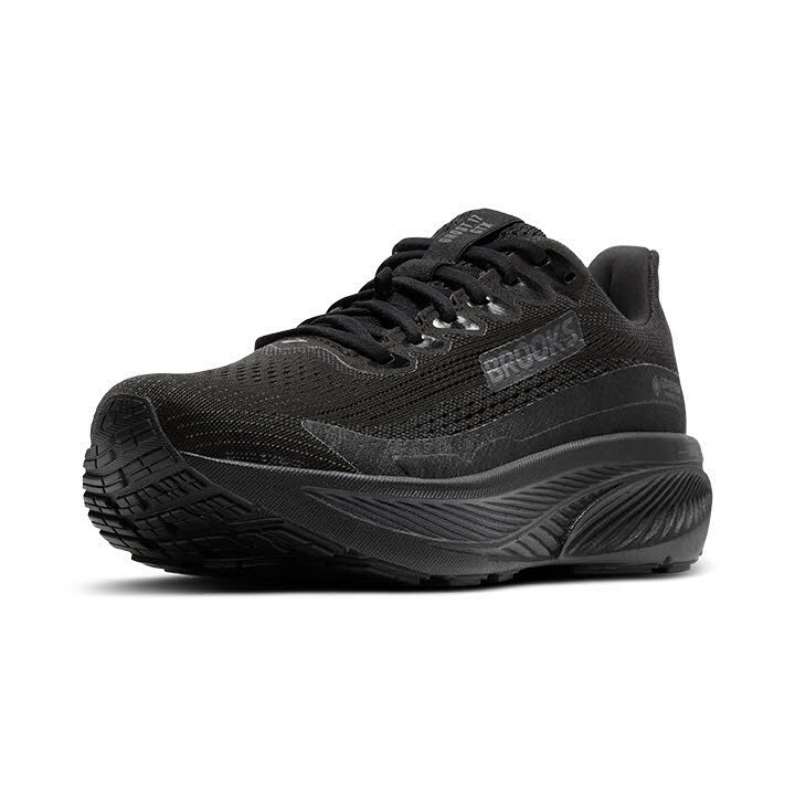 Brooks Ghost 17 GTX Laufschuh Damen Schwarz