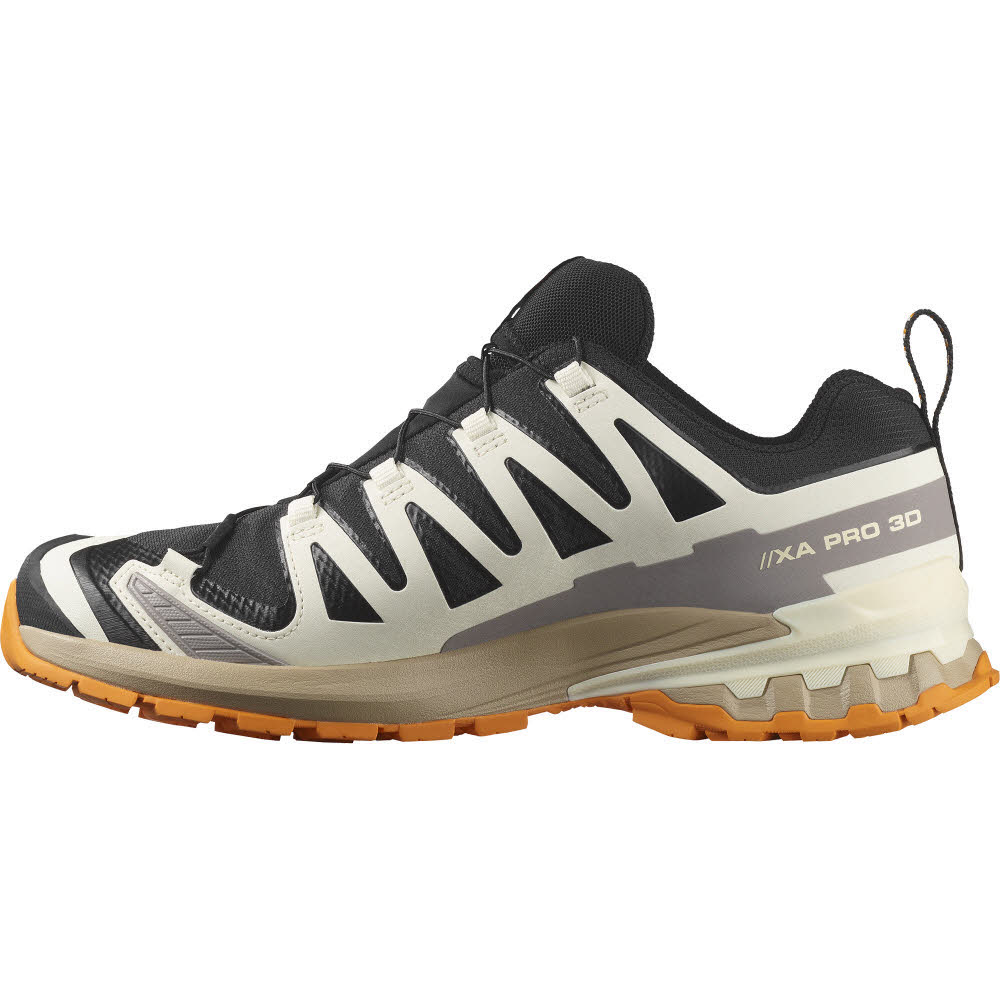 Salomon XA PRO 3D V9 GTX Herren Trailrunningschuhe Laufschuhe black/vanilla ice
