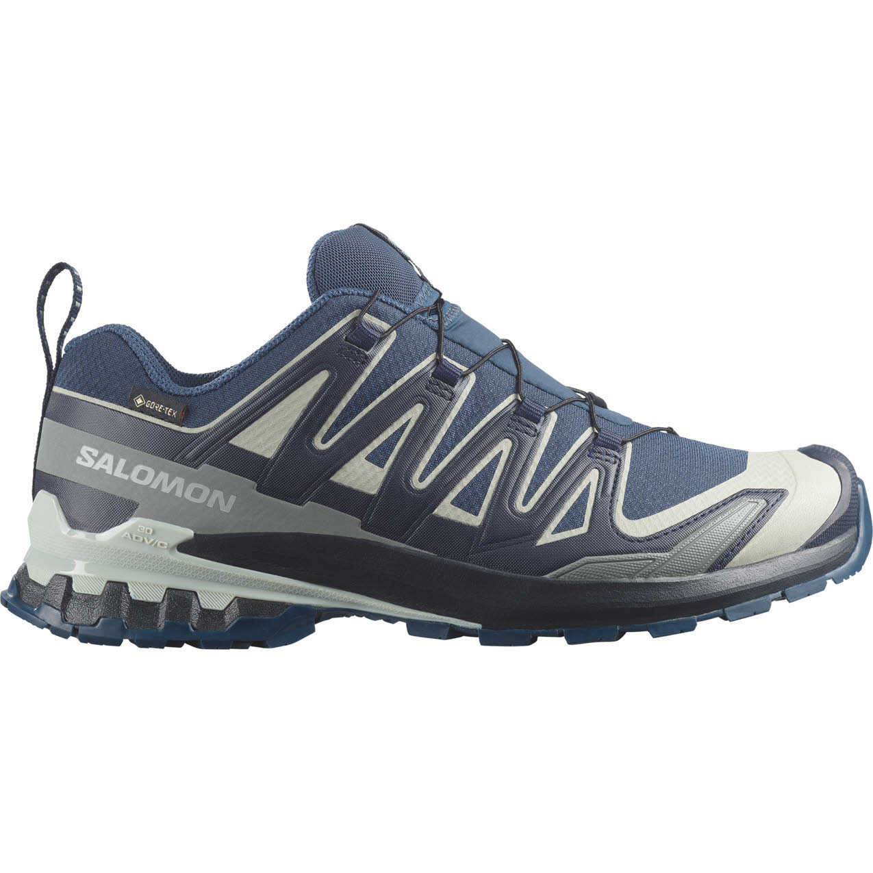 Salomon XA PRO 3D V9 GTX Herren Trailrunningschuhe Laufschuhe blau
