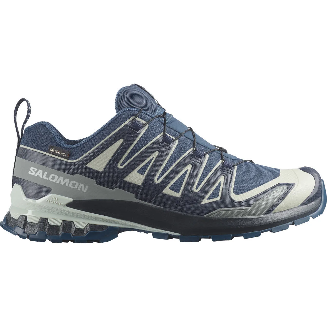 Salomon XA PRO 3D V9 GTX Herren Trailrunningschuhe Laufschuhe blau
