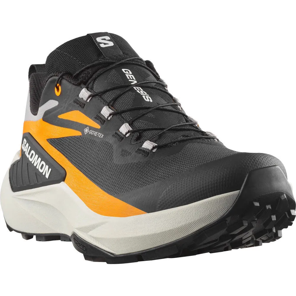Salomon GENESIS GTX Herren Trailrunningschuhe Laufschuhe schwarz/orange/grau