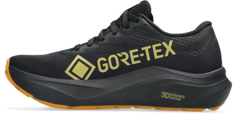 ASICS GT-2000 14 GTX Damen Laufschuhe Trailrunningschuhe black/vanilla
