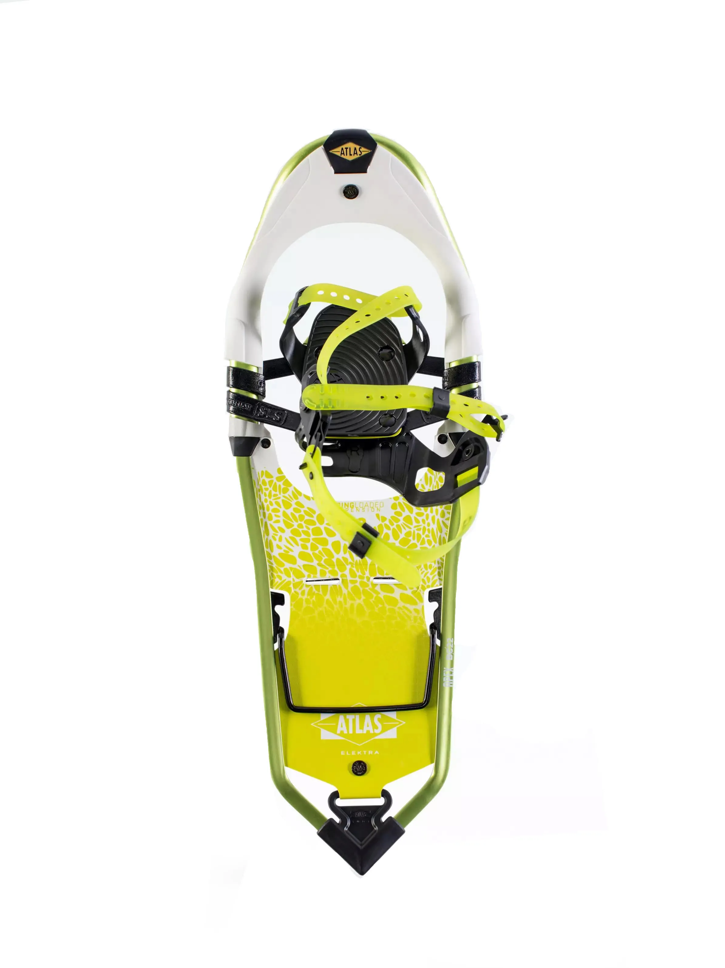 Atlas APEX BC 27 W Backcountry Schneeschuhe Damen grün/weiß NEU