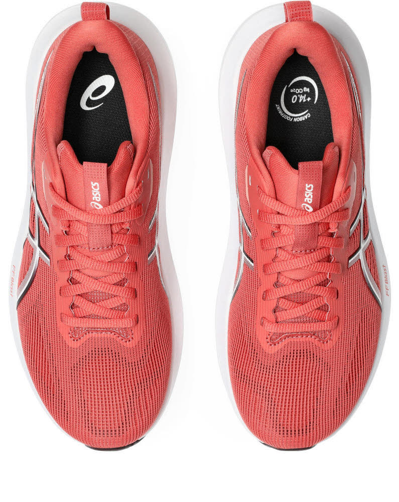 Asics GT-1000 14 Damen Laufschuhe Joggingschuhe dark pink clay/dark currant
