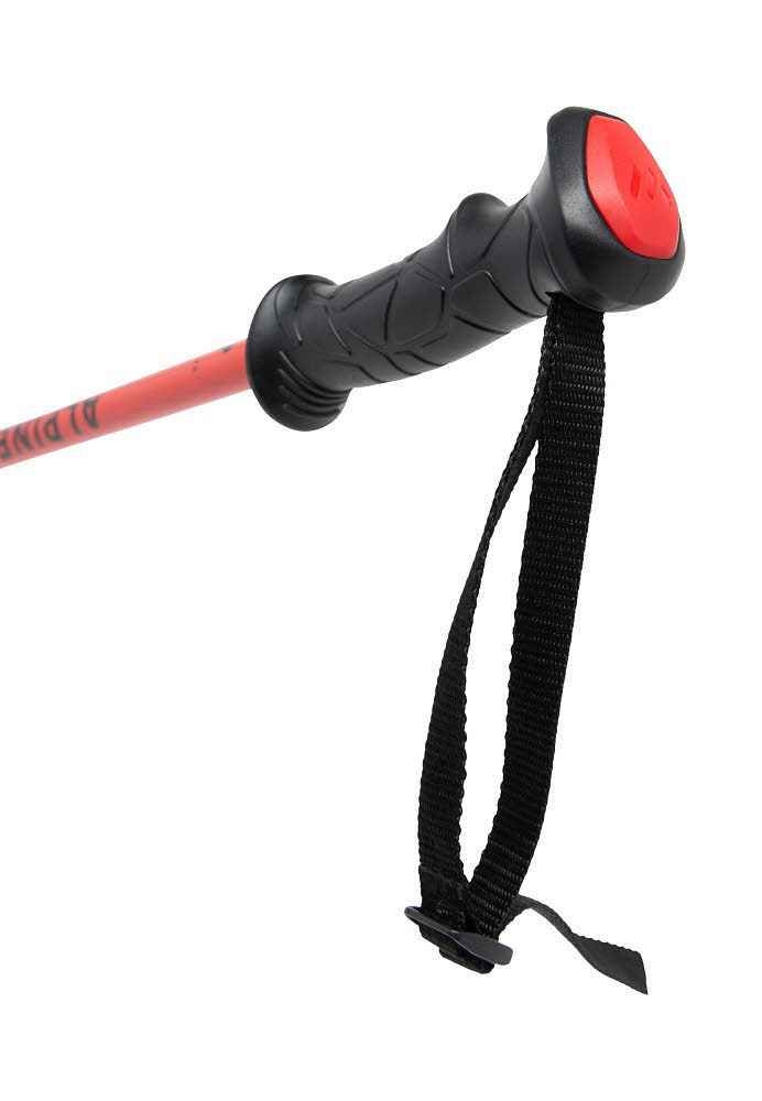 Witeblaze ALPINE PRO JR Kinder Skistöcke Ski Poles schwarz/rot