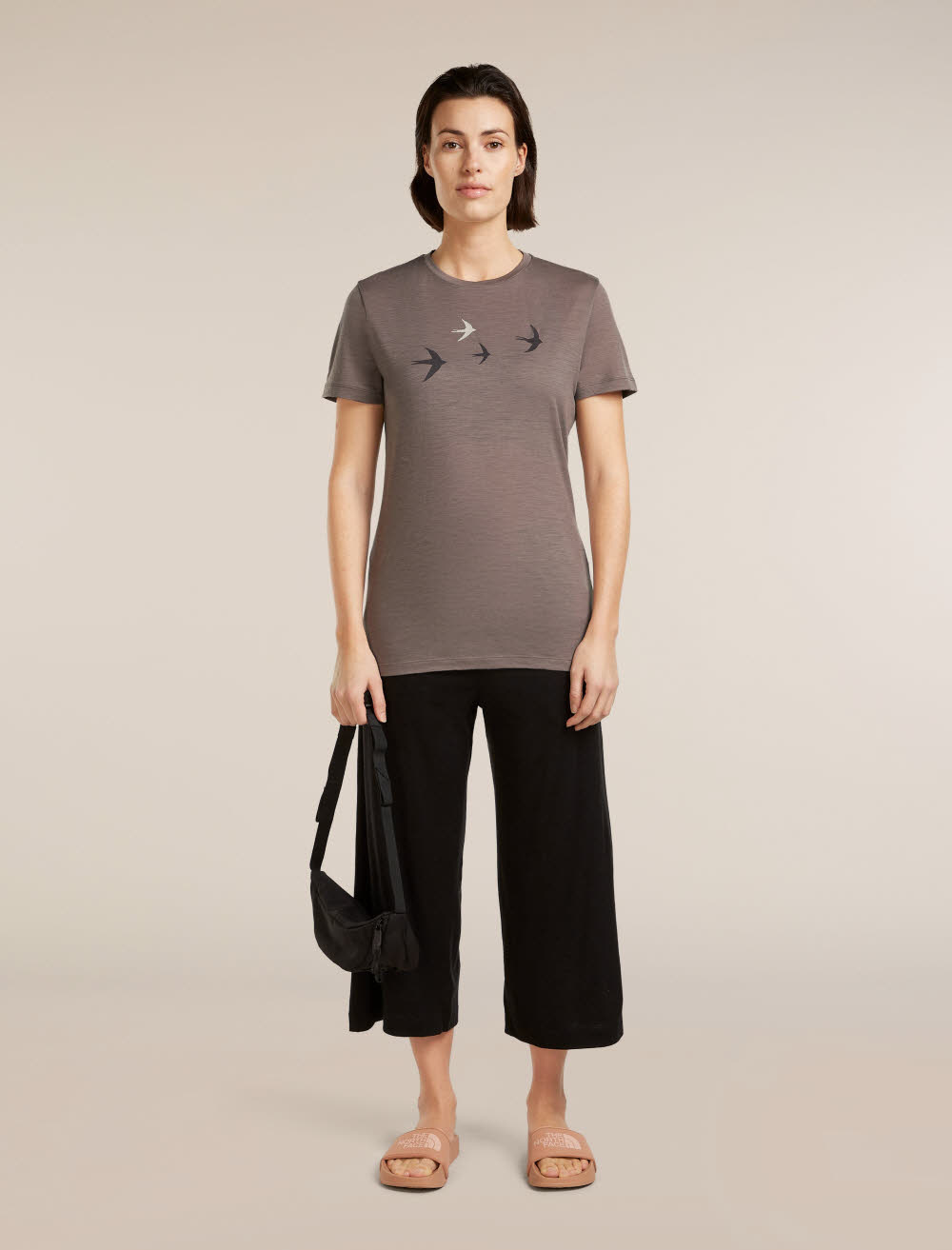 Icebreaker Merino 150 Tech Lite SS Tee Bird Transit Damen T-Shirt Funktionsshirt grau-braun