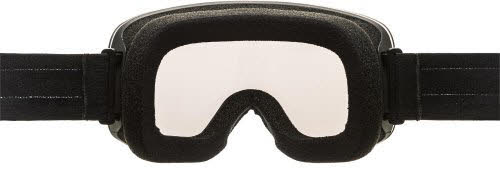 Alpina PENKEN Skibrille Unisex schwarz