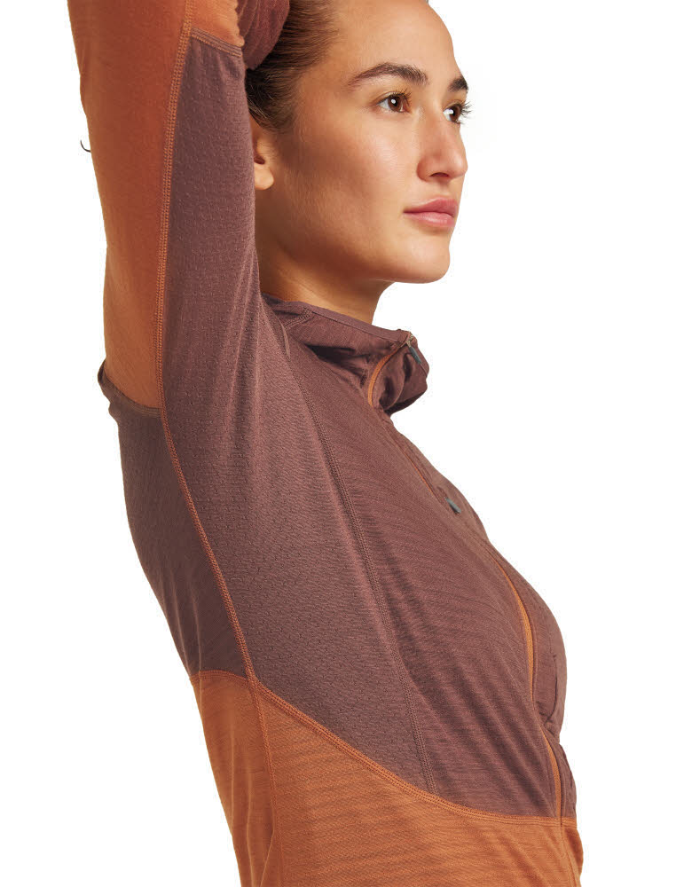 Icebreaker Merinomix 200 Realfleece™ Descender Zip-Hoodie Fleecejacke Damen braun