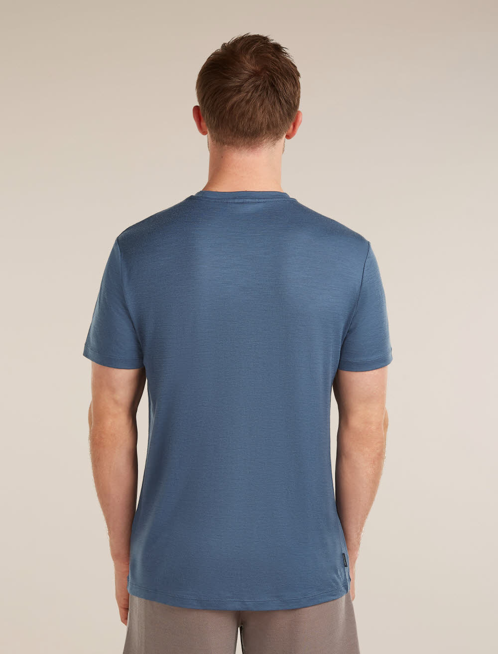Icebreaker Merino 150 Tech Lite SS Tee Elevation Line Herren T-Shirt Funktionsshirt blau