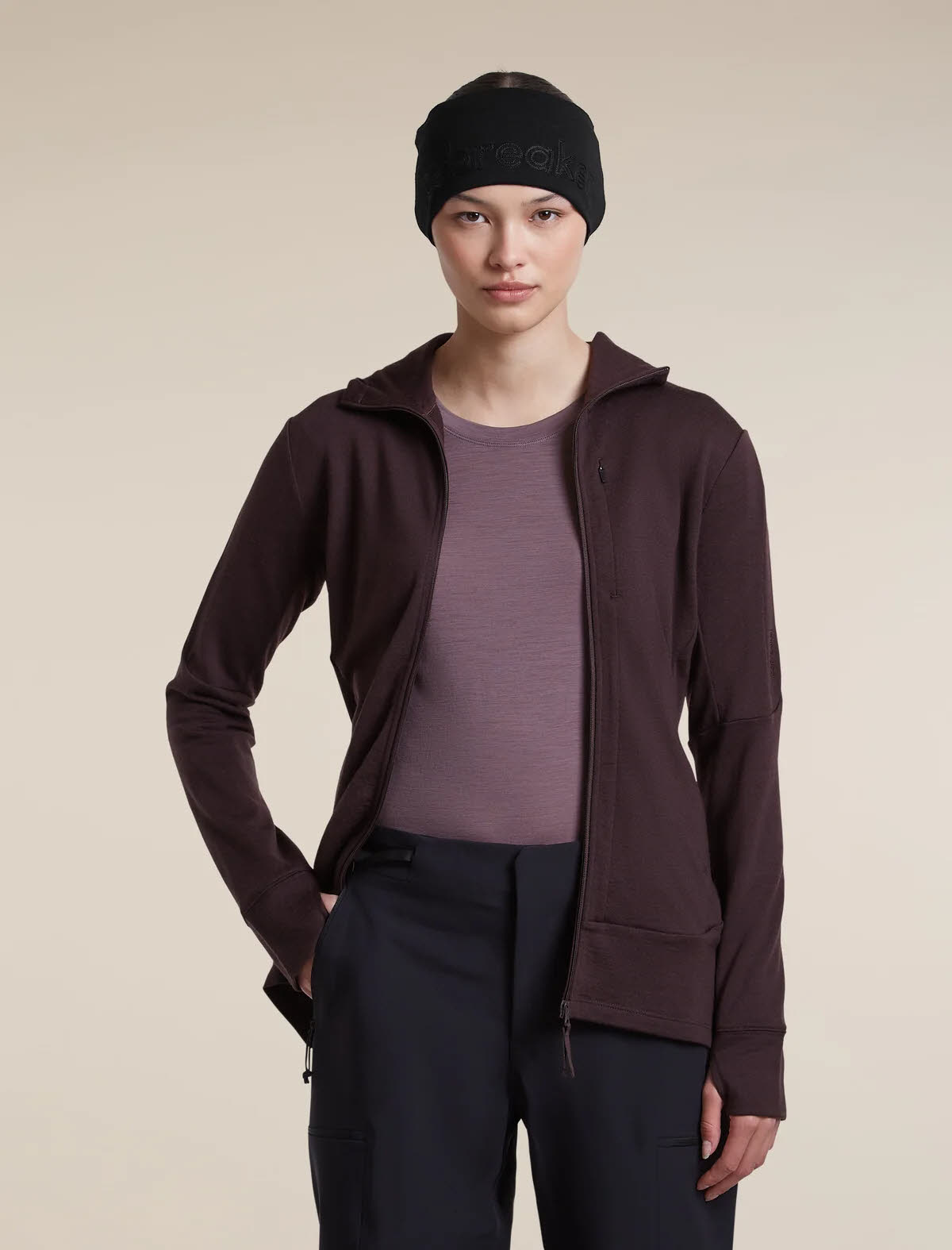 Icebreaker Mer 150 Ace LS Tee Damen Langarmshirt grey / plum