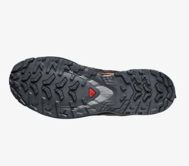 Salomon XA PRO 3D V9 GTX Trailrunning-Schuh Laufschuh Herren grau