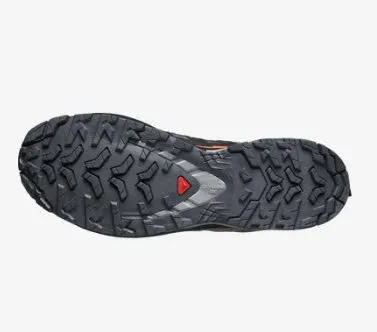 Salomon XA PRO 3D V9 GTX Trailrunning-Schuh Laufschuh Herren grau