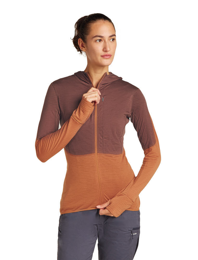 Icebreaker Merinomix 200 Realfleece™ Descender Zip-Hoodie Fleecejacke Damen braun