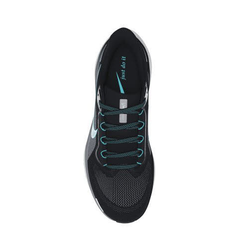 Nike Pegasus 41 Road Herren Laufschuhe Joggingschuhe schwarz