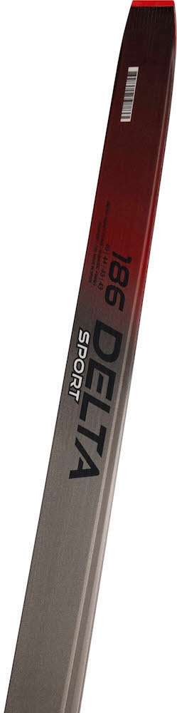 Rossignol DELTA SPORT SKATING Langlaufski inkl. Race Skate Bdg. grau