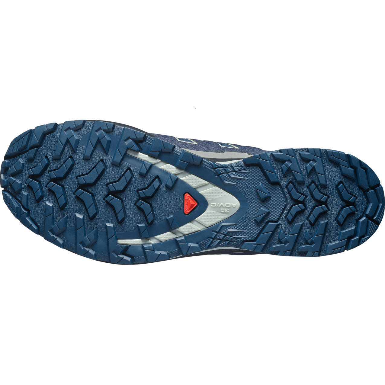 Salomon XA PRO 3D V9 GTX Herren Trailrunningschuhe Laufschuhe blau