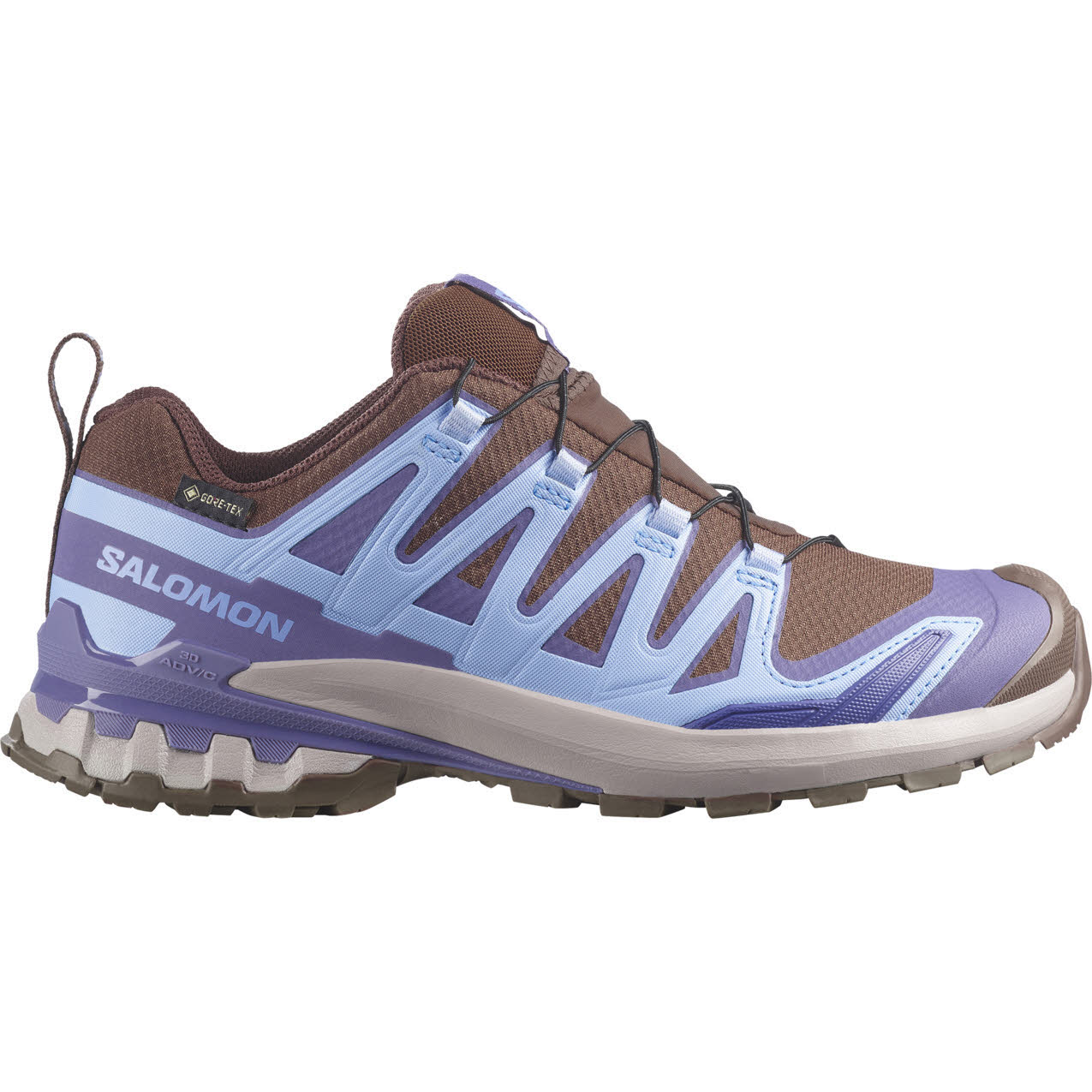 Salomon XA PRO 3D V9 GTX W Damen Trailrunningschuhe Laufschuhe braun/blau