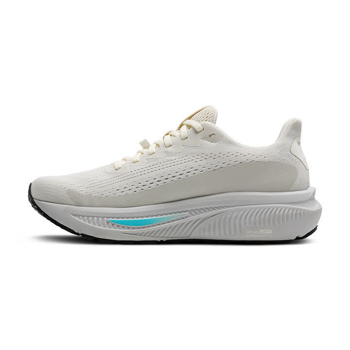 Brooks Ghost 17 GTX Damen Laufschuhe Joggingschuhe coconut/oyster/blue