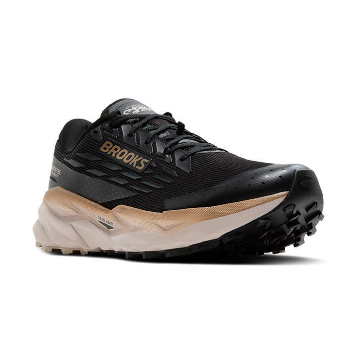 Brooks Cascadia 19 GTX Herren Laufschuhe Joggingschuhe black/ebony/chateau