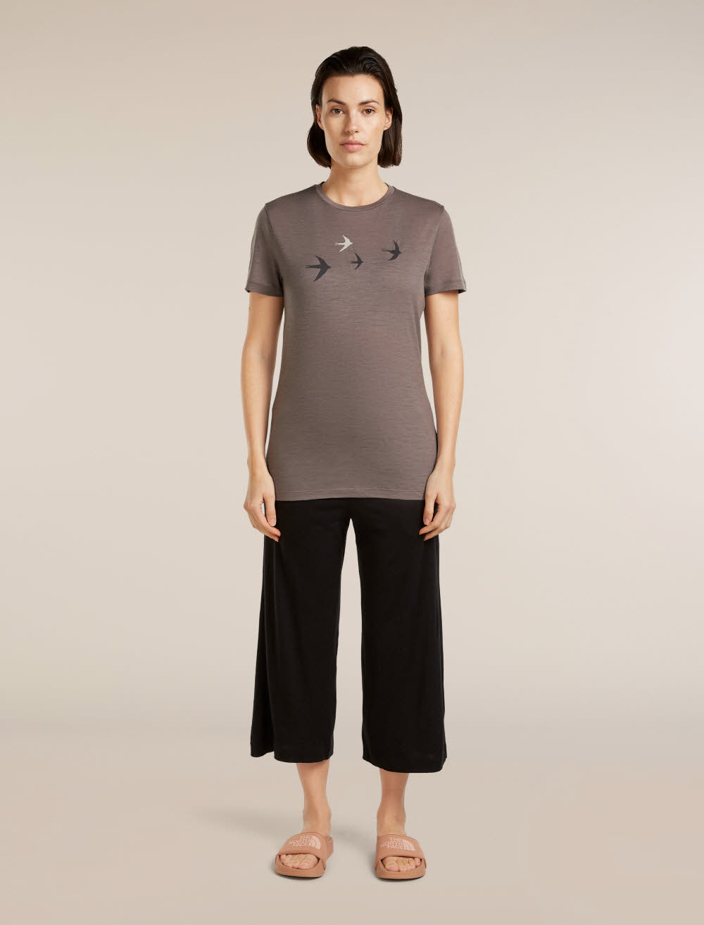 Icebreaker Merino 150 Tech Lite SS Tee Bird Transit Damen T-Shirt Funktionsshirt grau-braun