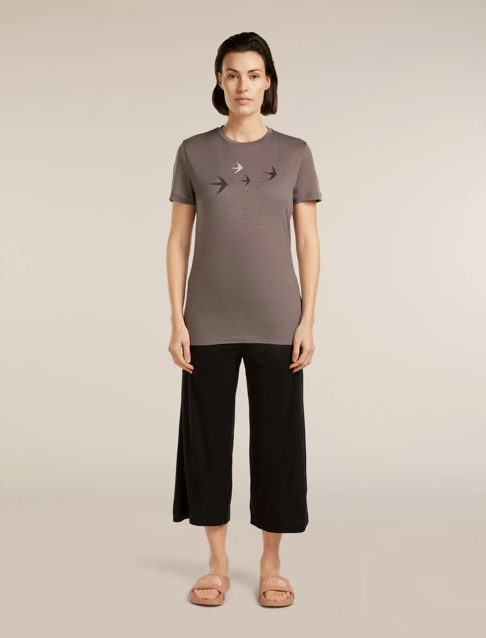 Icebreaker Merino 150 Tech Lite SS Tee Bird Transit Damen T-Shirt Funktionsshirt grau-braun