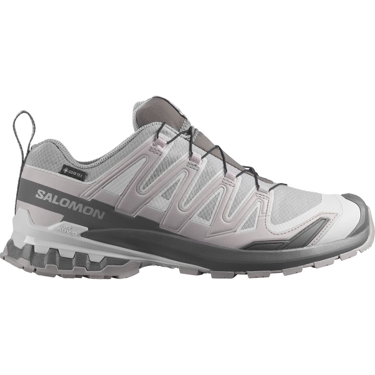 Salomon XA PRO 3D V9 GTX Herren Laufschuhe Trailrunningschuhe grau