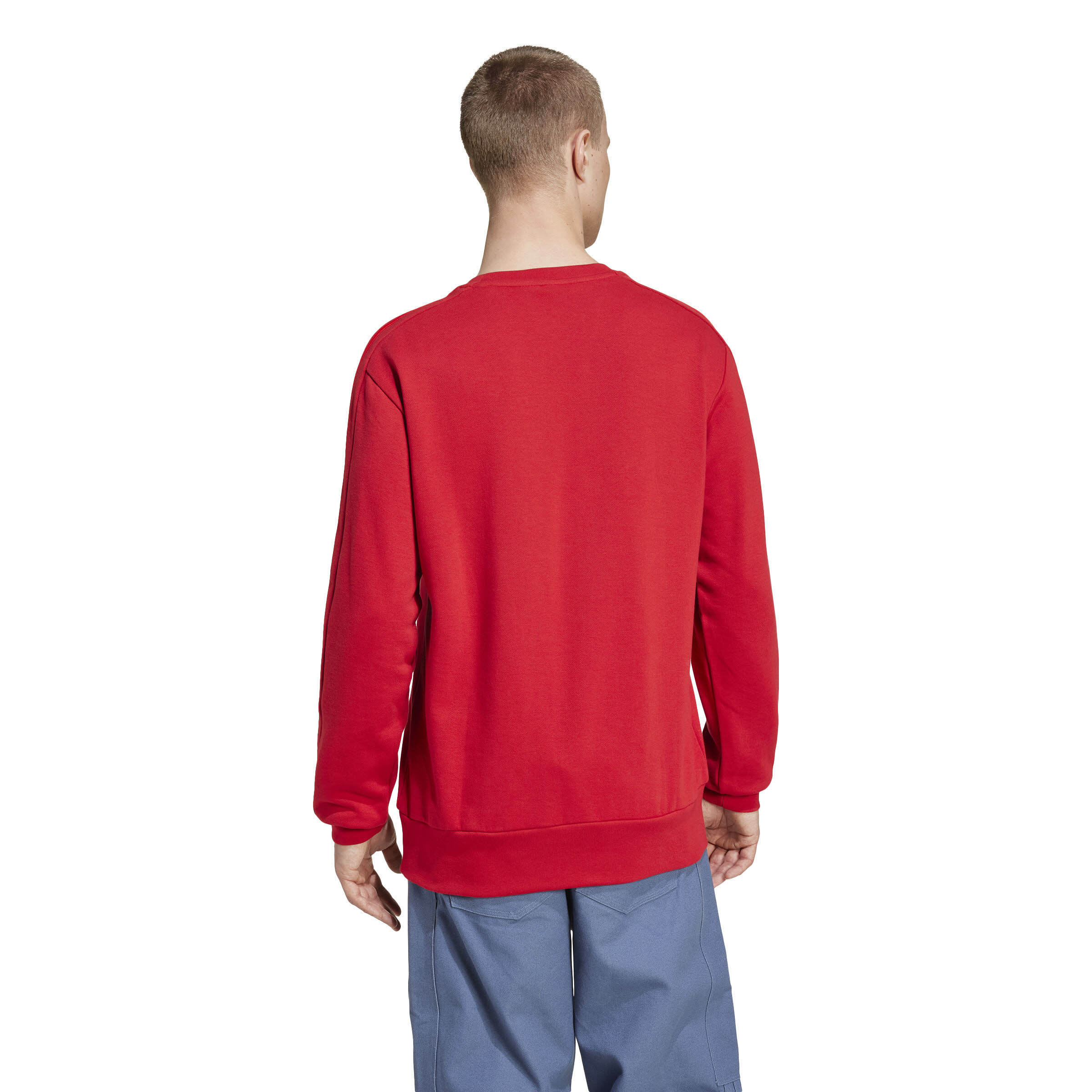 adidas FC Bayern München DNA Sweatshirt Pullover Herren rot