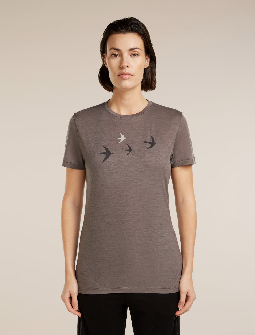 Icebreaker Merino 150 Tech Lite SS Tee Bird Transit Damen T-Shirt Funktionsshirt grau-braun