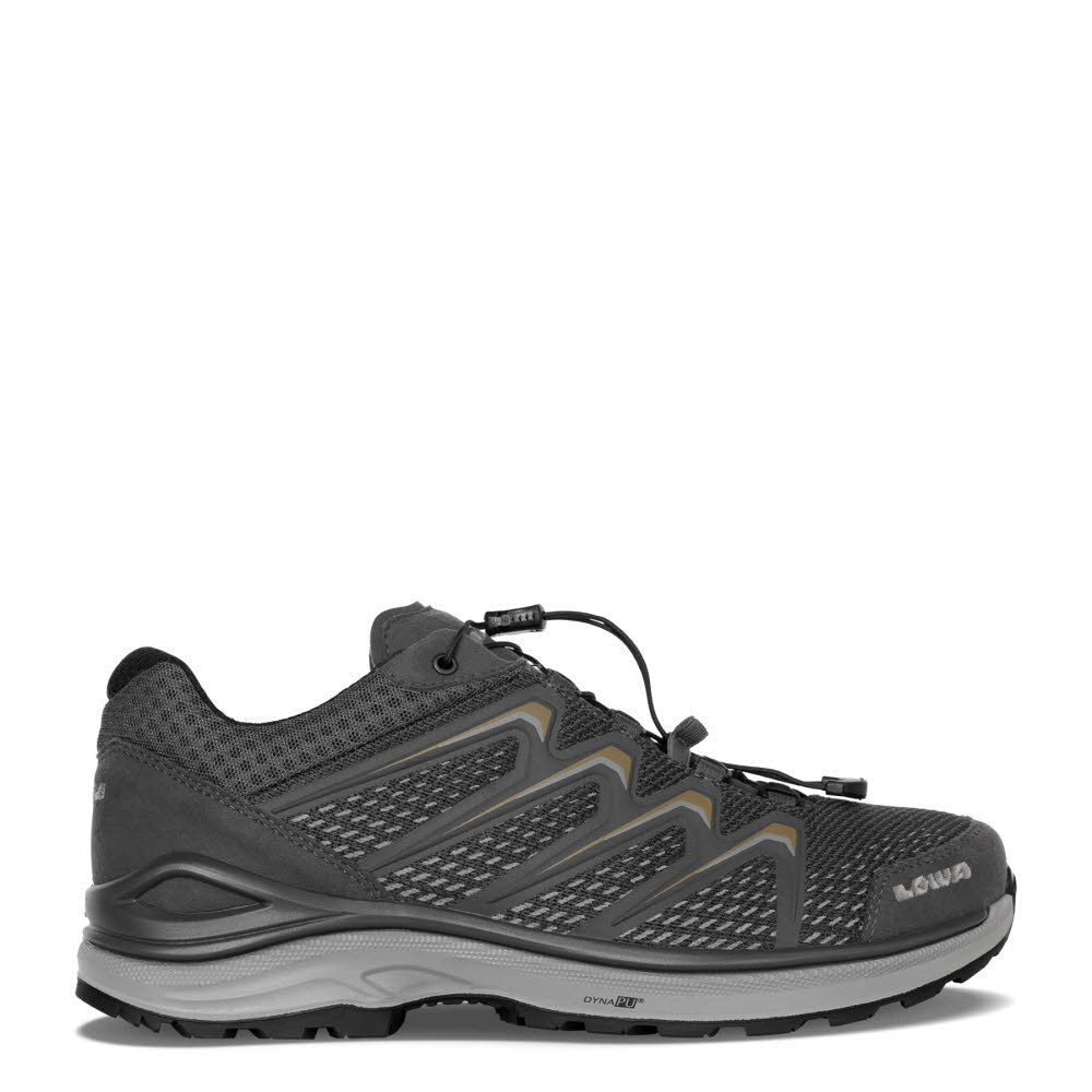 Lowa MEADOW GTX LO SL Herren Wanderschuhe Trekkingschuhe Low graphit/bronze