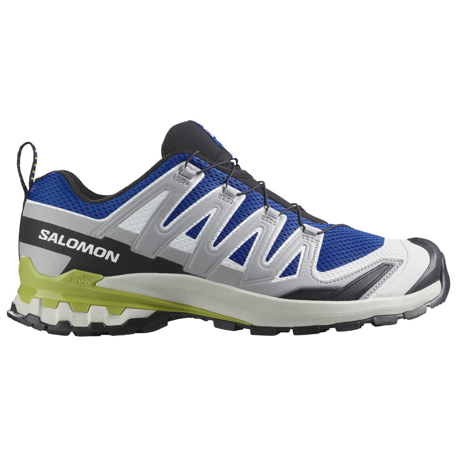 Salomon XA PRO 3D V9 Trailrunning-Schuh Laufschuh Herren grau