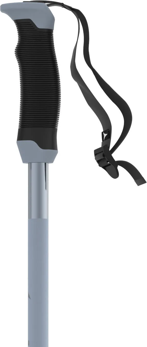 Atomic AMT SQS Unisex Skistöcke Ski Poles light grey