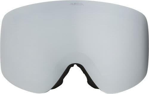 Alpina PENKEN Skibrille Unisex schwarz