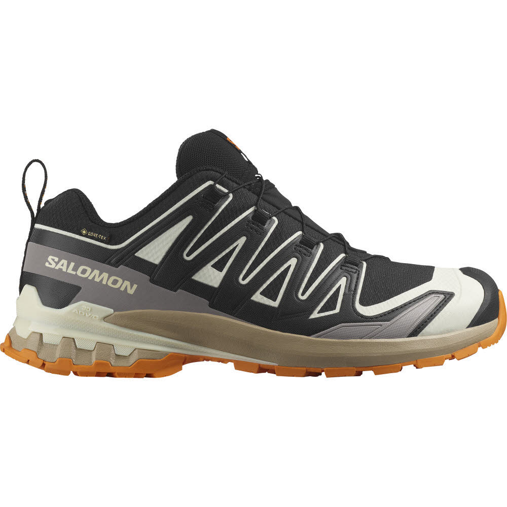 Salomon XA PRO 3D V9 GTX Herren Trailrunningschuhe Laufschuhe black/vanilla ice