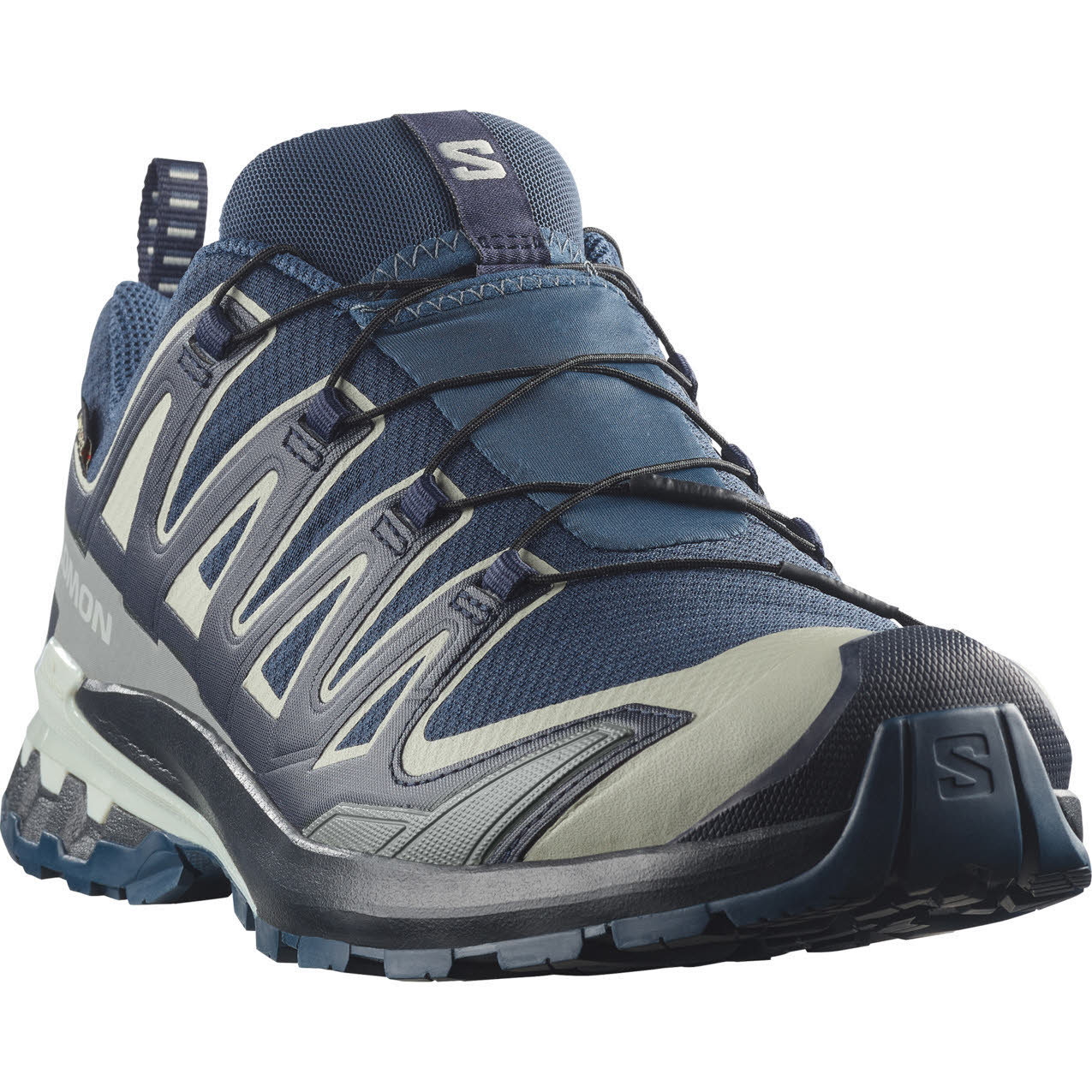 Salomon XA PRO 3D V9 GTX Herren Trailrunningschuhe Laufschuhe blau