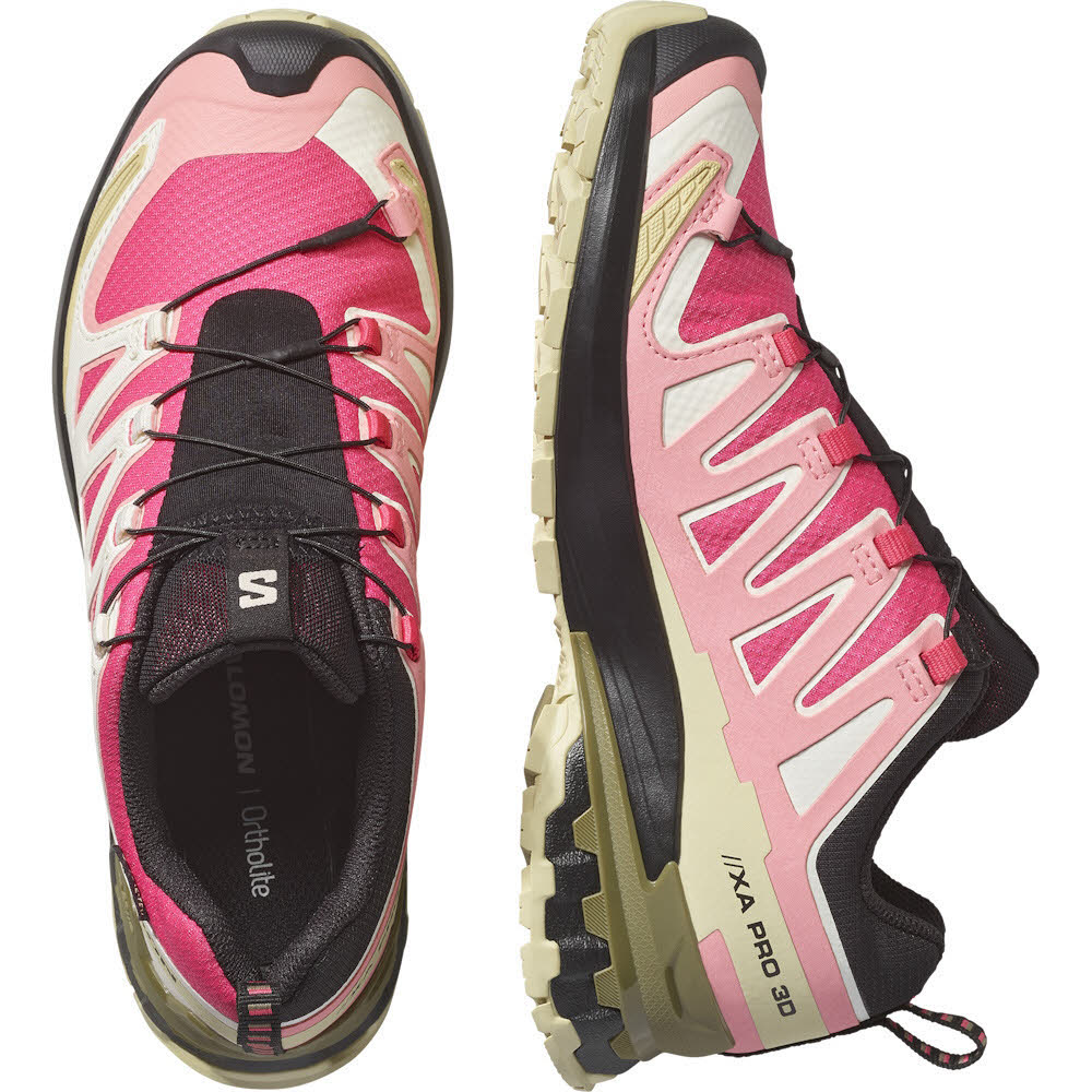Salomon XA PRO 3D V9 GTX W Damen Trailrunning Laufschuhe rouge red/vanilla ice