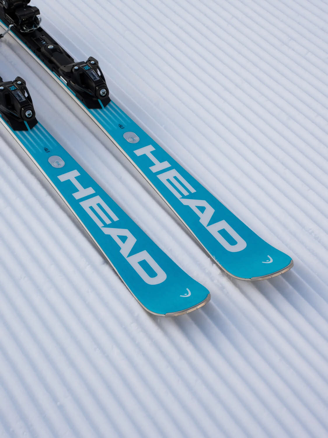 Head WC Rebels e-SL Pro + PROT. FF ST 16 GW Unisex Slalomcarver Ski Experten 26/27 blau