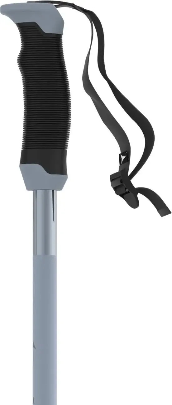 Atomic AMT SQS Unisex Skistöcke Ski Poles light grey