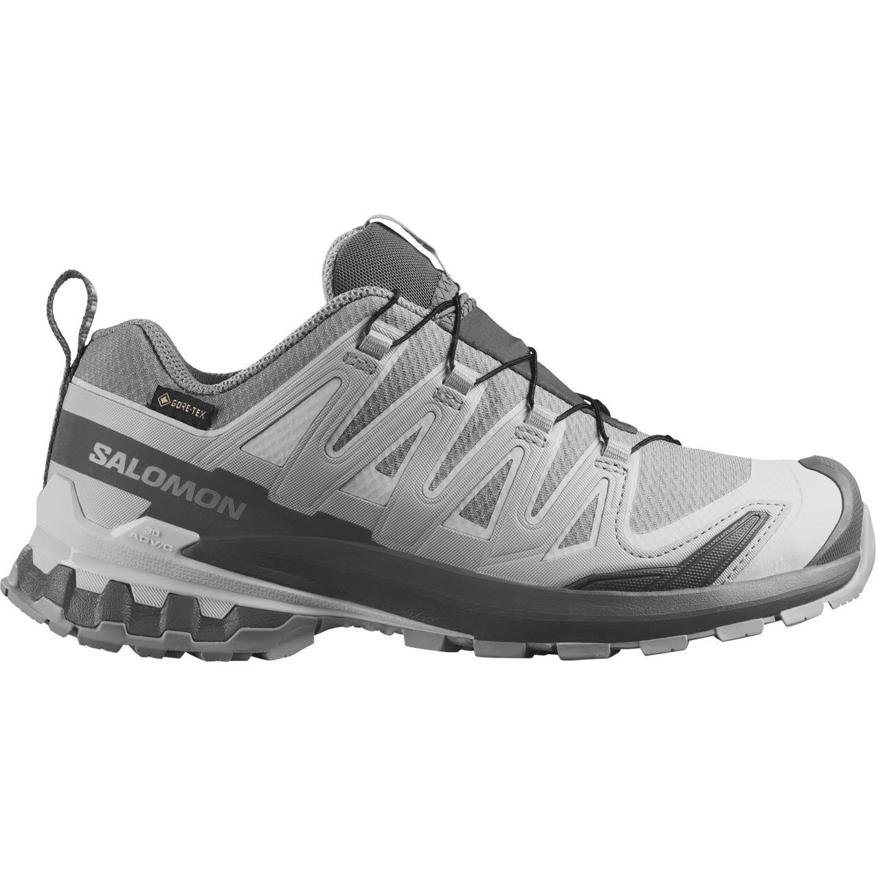 Salomon XA PRO 3D V9 GTX W Damen Laufschuhe Trailrunningschuhe grau