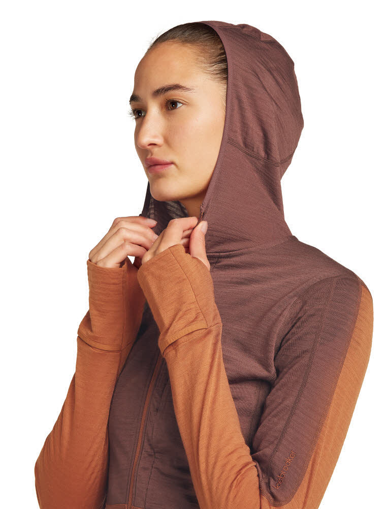 Icebreaker Merinomix 200 Realfleece™ Descender Zip-Hoodie Fleecejacke Damen braun