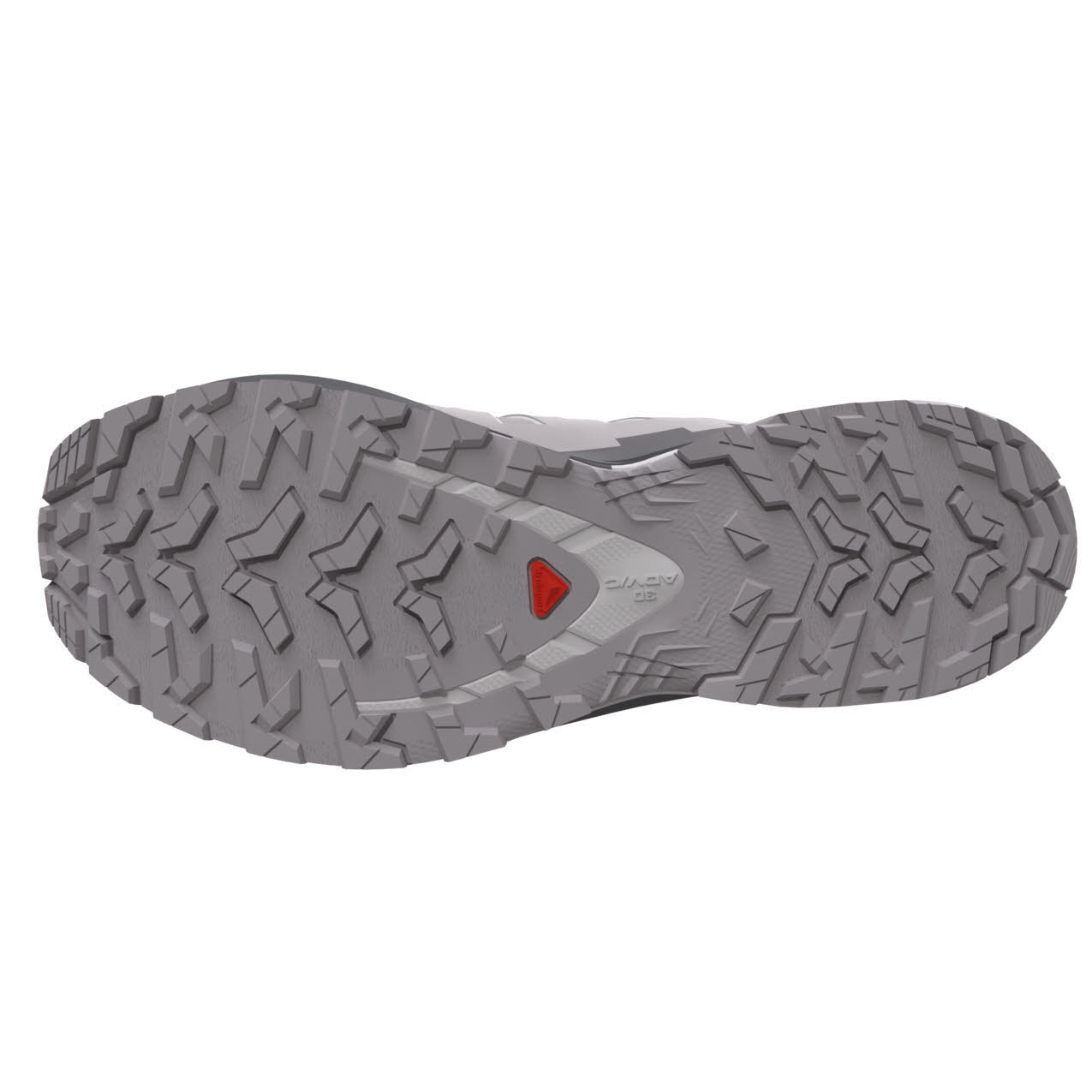 Salomon XA PRO 3D V9 GTX W Damen Laufschuhe Trailrunningschuhe grau