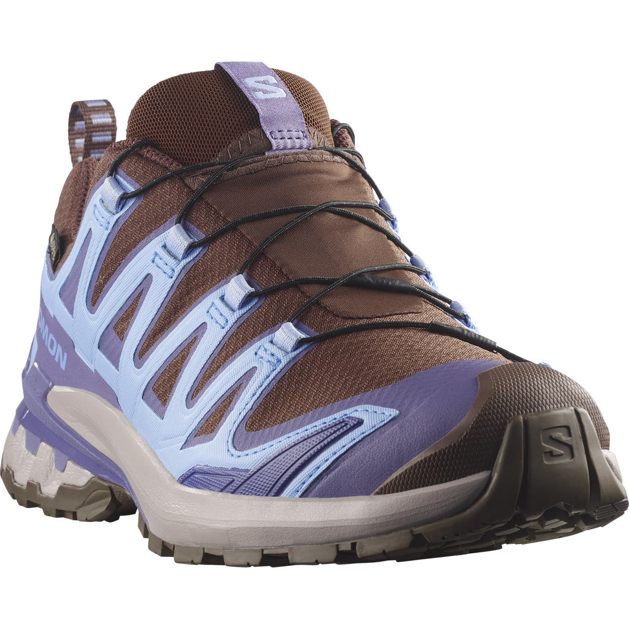 Salomon XA PRO 3D V9 GTX W Damen Trailrunningschuhe Laufschuhe braun/blau