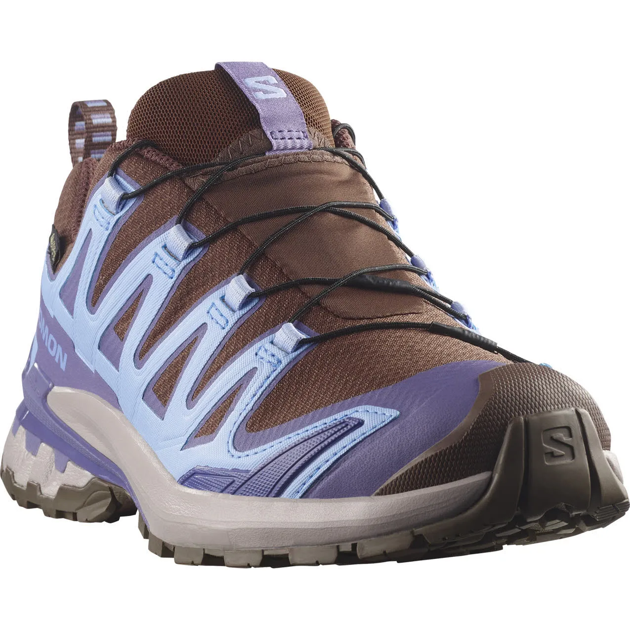 Salomon XA PRO 3D V9 GTX W Damen Trailrunningschuhe Laufschuhe braun/blau